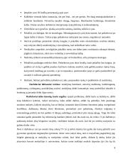 Pokalbis su darbdaviu 8 puslapis