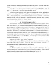 Pokyčiai po gegužės 1 dienos Lietuvai tapus Europos Sąjungos nare 5 puslapis