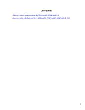 Pokyčiai po gegužės 1 dienos Lietuvai tapus Europos Sąjungos nare 9 puslapis