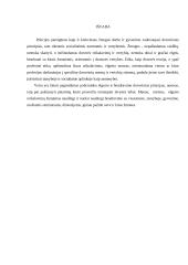 Pagrindiniai policijos pareigūnų etikos klausimai 8 puslapis