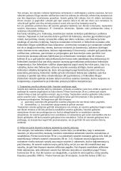 Tarptautinių sutarčių galiojimas ir taikymas 15 puslapis