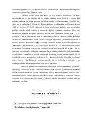 Politikos mokslo samprata, problematika ir raidos etapai 13 puslapis