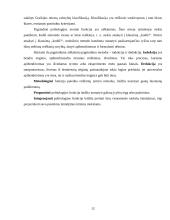 Politologijos struktūra, metodologija, funkcijos, kilmė bei raida 11 puslapis