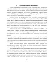 Politologijos struktūra, metodologija, funkcijos, kilmė bei raida 12 puslapis