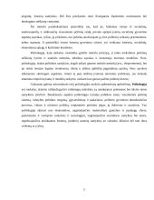 Politologijos struktūra, metodologija, funkcijos, kilmė bei raida 4 puslapis