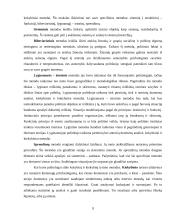 Politologijos struktūra, metodologija, funkcijos, kilmė bei raida 8 puslapis