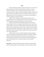 Politikos kaip socialinio mokslo vieta socialinių mokslų spektre 2 puslapis