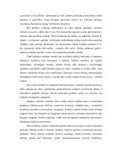 Politikos mokslas - tai socialinis mokslas 12 puslapis