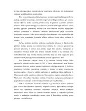 Politikos mokslas - tai socialinis mokslas 15 puslapis