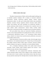 Politikos mokslas - tai socialinis mokslas 17 puslapis