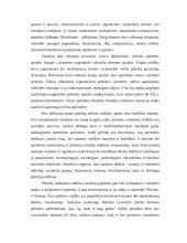 Politikos mokslas - tai socialinis mokslas 3 puslapis