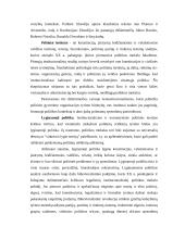Politikos mokslas - tai socialinis mokslas 8 puslapis