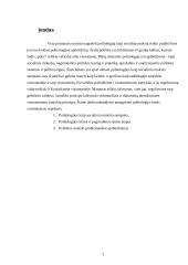 Politikos mokslo kilmė, problematika ir raidos etapai 3 puslapis