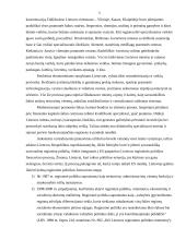 Politinė aplinka ir jos įtaka Lietuvos verslui 3 puslapis