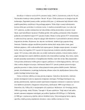 Politinė aplinka ir jos įtaka Lietuvos verslui 5 puslapis