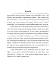 Politinių partijų vaidmuo politinėje sistemoje 9 puslapis