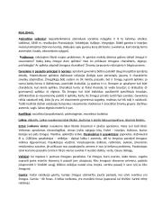 Realizmas (XIX a. vid. – XX a.) 2 puslapis