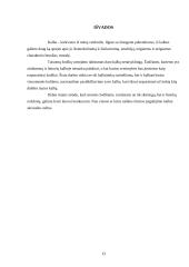 Populiarūs semantizmai 13 puslapis