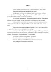 Populiarūs semantizmai 3 puslapis