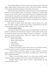 Potencialių verslo partnerių paieška 2 puslapis
