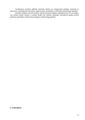 Poveikio aplinkai vertinimas 12 puslapis