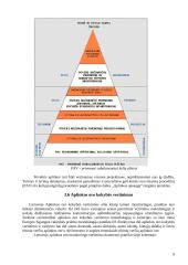 Poveikio aplinkai vertinimas 9 puslapis