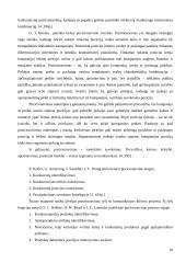 Pozicionavimo reikšmė komunikacijoje 11 puslapis