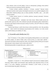 Pozicionavimo reikšmė komunikacijoje 16 puslapis