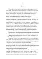 Prekės gyvavimo ciklas 2 puslapis