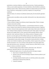 Prekės gyvavimo ciklas 16 puslapis