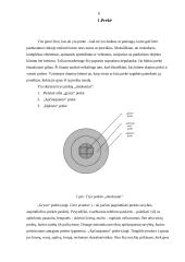 Prekės gyvavimo ciklas 4 puslapis