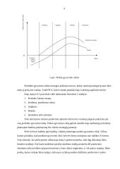 Prekės gyvavimo ciklas 7 puslapis