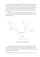 Prekės gyvavimo ciklas 8 puslapis