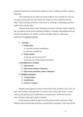 Prekės identifikavimas 11 puslapis