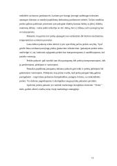 Prekės identifikavimas 12 puslapis