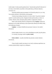 Prekės identifikavimas 7 puslapis