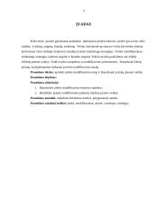 Prekės modifikavimas 2 puslapis