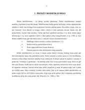 Prekės modifikavimas 3 puslapis