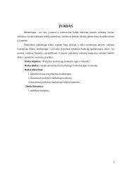 Prekybos marketingo kontrolės tipai ir metodai 3 puslapis