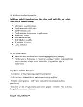 Bendruomenės slaugos klausimynas 12 puslapis