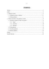 Prekių pakaitalų paklausos analizė 2 puslapis