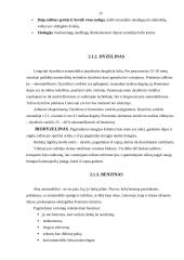 Prekių pakaitalų paklausos analizė 11 puslapis