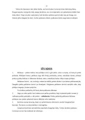 Prekių pakaitalų paklausos analizė 17 puslapis