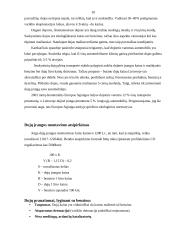 Prekių pakaitalų paklausos analizė 10 puslapis