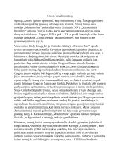 Kitokio tema literatūroje