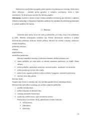 Prekių paskirstymo kanalų parinkimas 13 puslapis