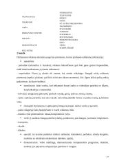 Prekių paskirstymo kanalų parinkimas 17 puslapis