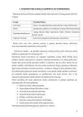 Prekių paskirstymo kanalų parinkimas 4 puslapis