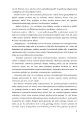 Prekių paskirstymo kanalų parinkimas 8 puslapis