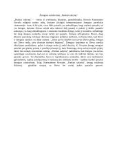 Žmogaus vaizdavimas ,,Punktai sakymų“